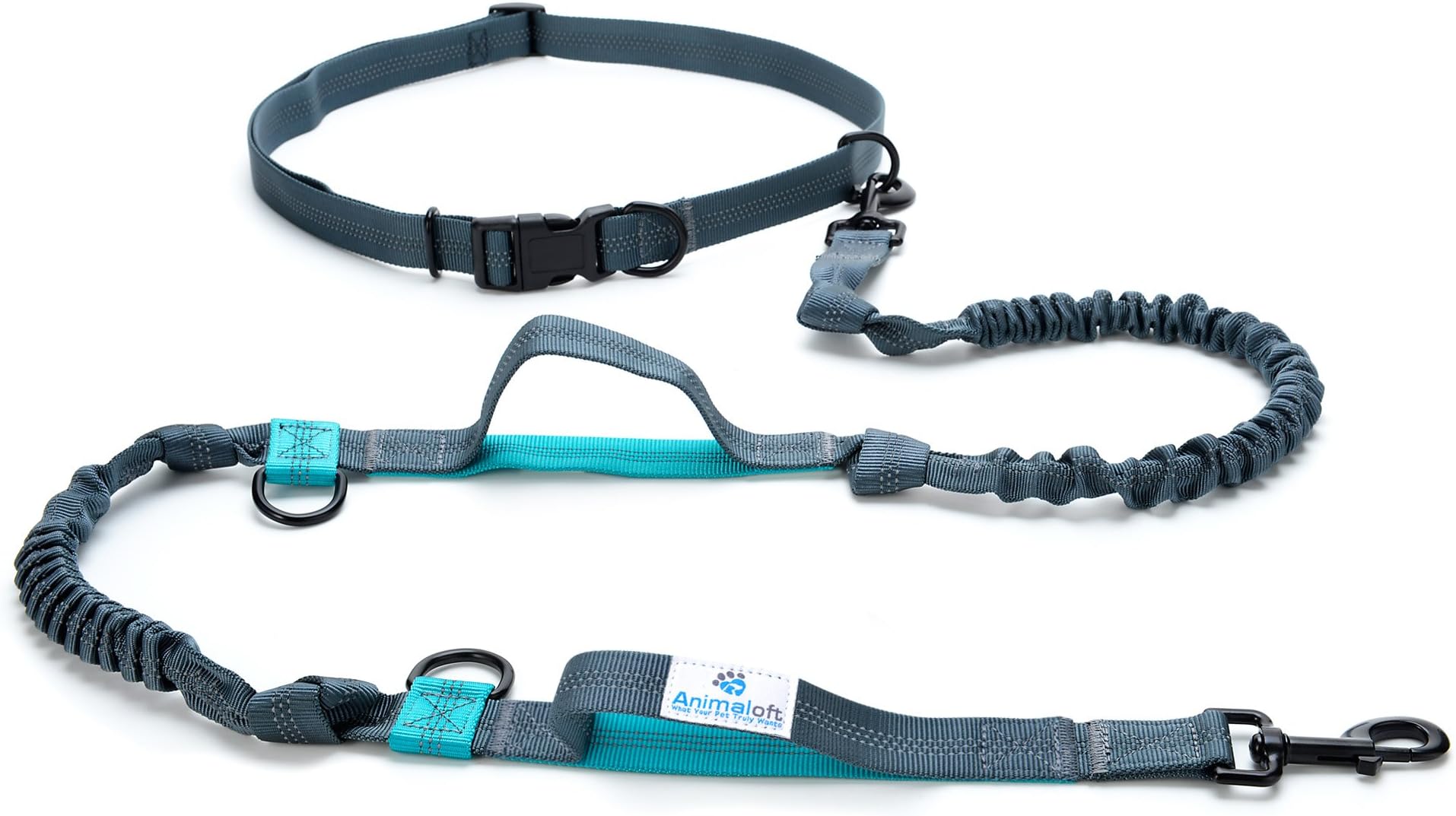 Animaloft Dog Leash with Hands Free, Shock Absorbing, Adjustable, Dual Elastic Bungee for Running, Walking, Jogging, Hiking, and Biking | Comfort Waist Belt (Fits up to 48") and Two Handles