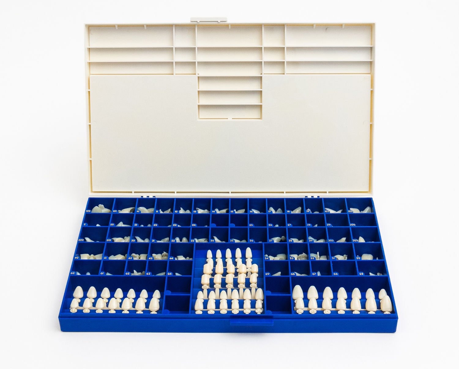 Polycarbonate Temporary Dental Crowns Kit 180 pcs
