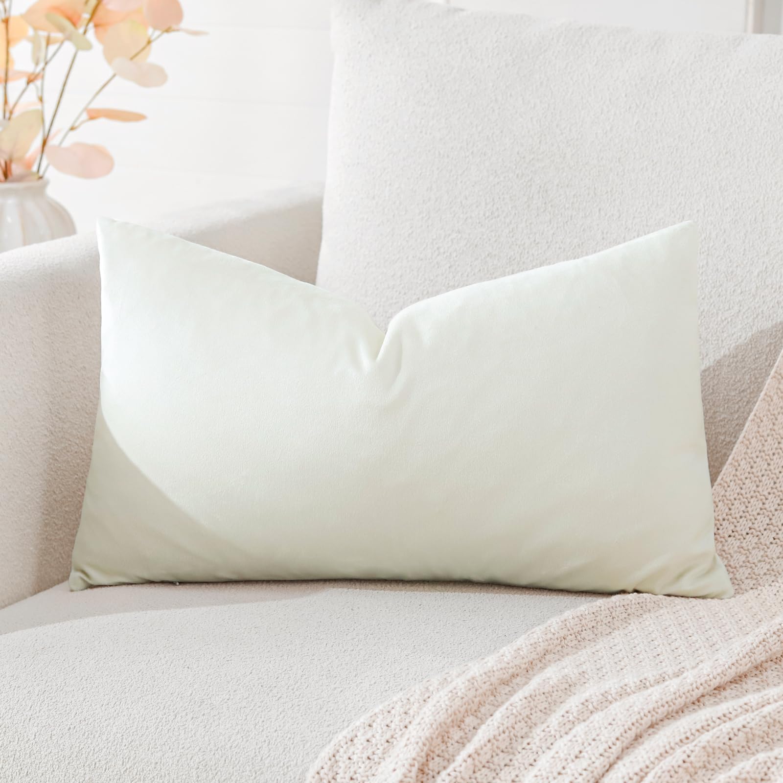 Artscope Luxury Velvet Cushion Covers Super Soft Decorative Throw Pillow Covers Case Lumbar Cushion Cases for Sofa Couch Bedroom Car Decor 30x50cm Cream White