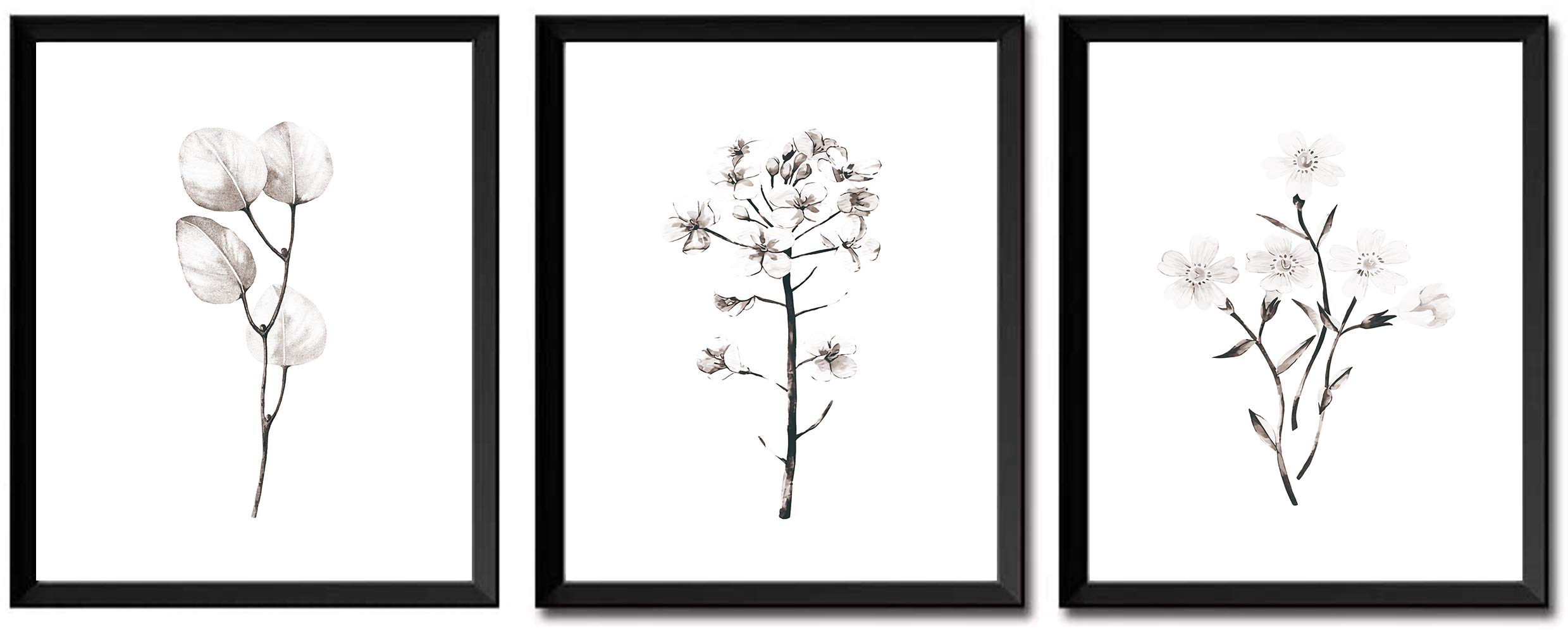 AIWU Set of 3 Black&White Minimalist Flower Framed Wall Art Prints,Abstract Plants Printing Wall Decor,Canvas Art Poster for Nordic Style Living Room Home Decor,Gift.(Black,8”X10”).