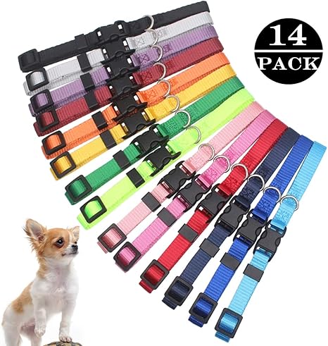 collars for litter of puppies