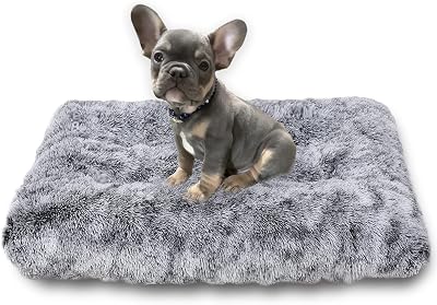 Jaspuriea Small Dog Bed 60x45x6cm Washable Calming Plush Anti Slip
