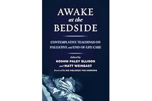 Awake at the Bedside: Contemplative Teachings on Palliative and End-of-Life Care