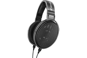 Sennheiser Consumer Audio HD 650 - Audiophile Hi-Res Open Back Dynamic Headphone, Titan