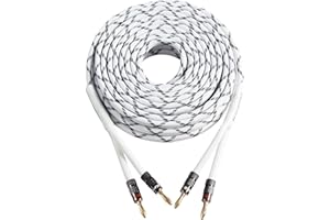 HannLinte 12AWG Speaker Cable (10 Feet), 1 Pack Premium Heavy Duty Braided Speaker Wire with Dual Gold Plated Banana Plug in-