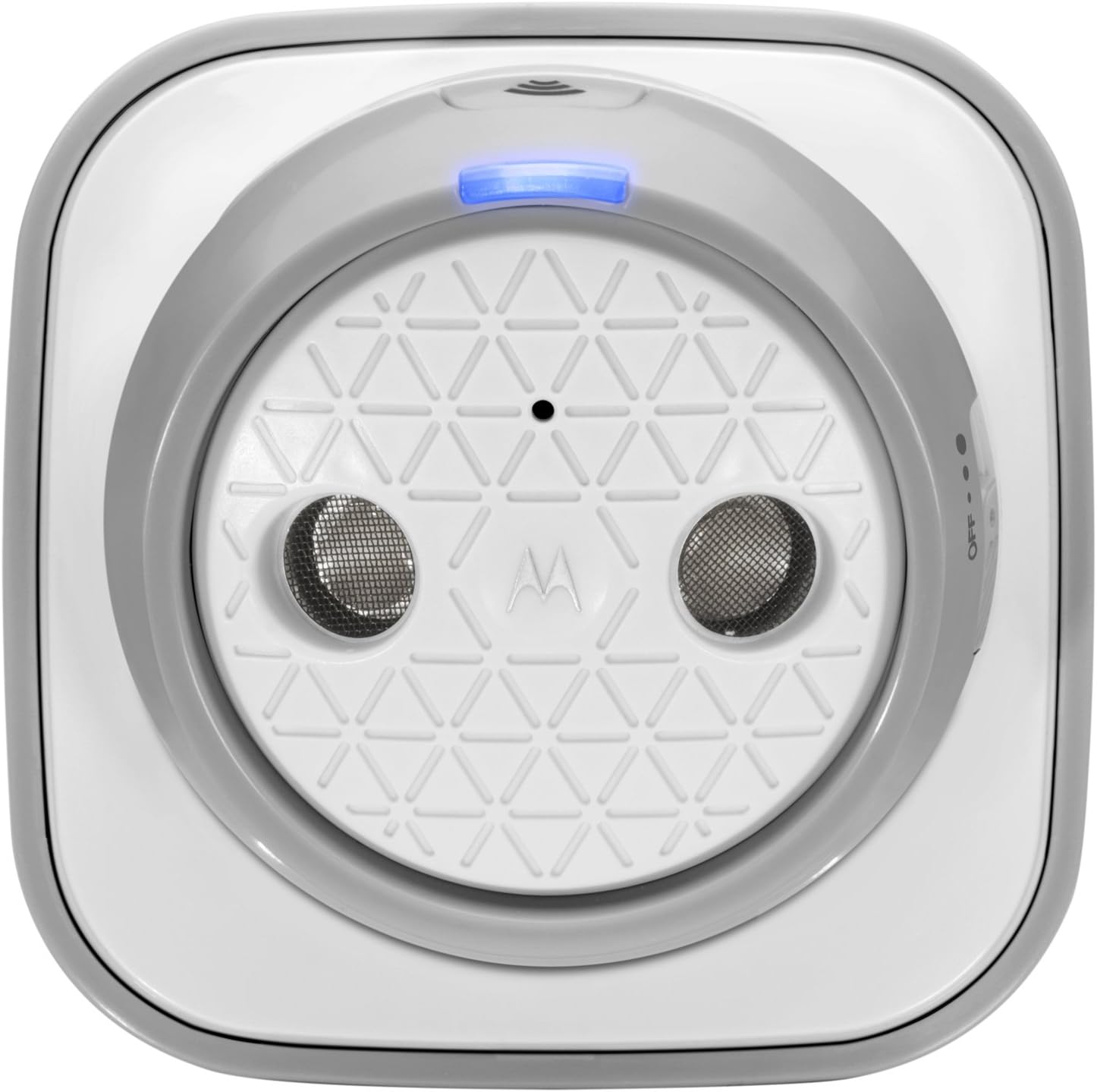 how much does it cost to spay a dog near me