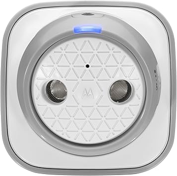 hamster with clothes