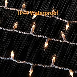 GLOWNOVA White Wire, Clear Incandescent Bulb 100