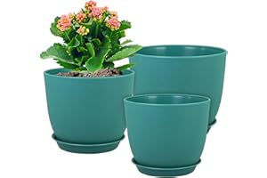 WSMKSZ Flower Pots 10/9/8 inch, Set of 3 Modern Decorative Plastic Planters with Drainage Holes and Tray for House Plants Indoor Flowers Plants, Plant Pots for Indoor Outdoor Plants, Blue Green
