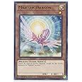 Majestic Dragon - KICO-EN032 - Rare - 1st Edition