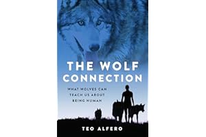 The Wolf Connection: What Wolves Can Teach Us about Being Human