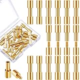 20 Sets Brass Bracket Bolt Fasteners Tool Head