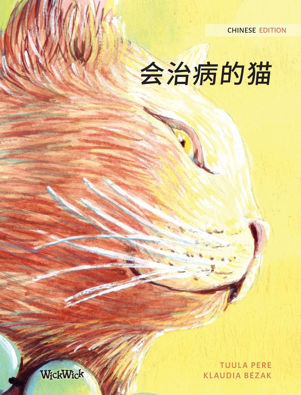 会治病的猫 Chinese Edition Of The Healer Cat Pere Tuula Bezak Klaudia Sun Wei Amazon Com Books