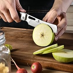 ZhengSheng Folding Chef Knife with Nylon Pouch