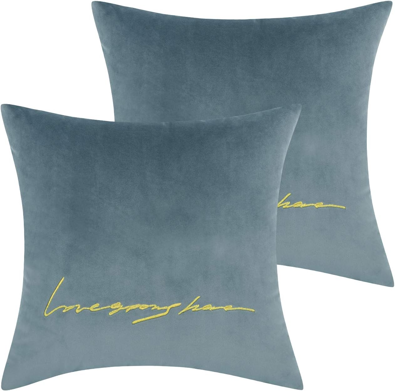 Lewondr Embroidery Velvet Throw Pillow Cover, 2 Pack Soft Square Velvet Throw Pillow Case, Golden Lines Embroidered Back Cushion Cover 18" x 18", Letters, Light Blue