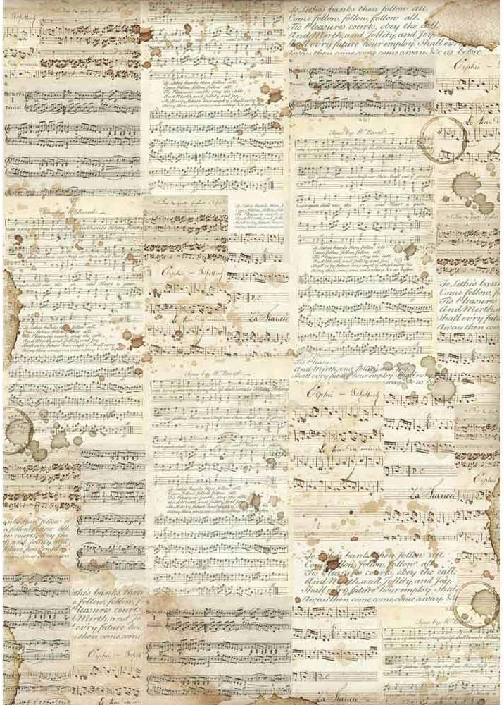 Authentic music essay 04 image