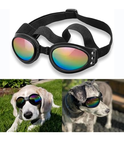 Doggles Vertical Para Que Sirven Los Doggles