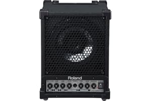Roland Cube Monitor/PA, Multicolored, Medium (CM-30)