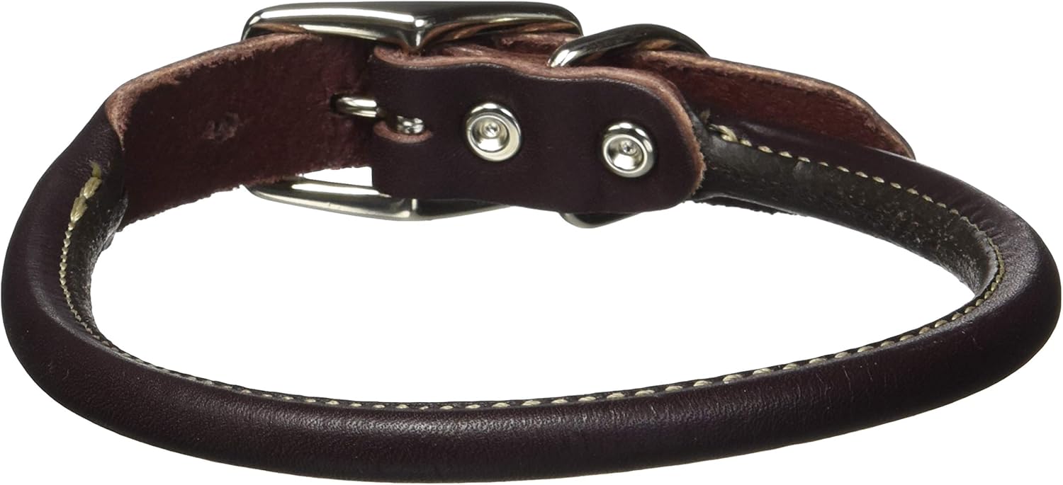 Circle t leather dog collar Clearance