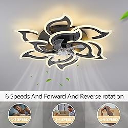haodengshi Geometric Ceiling Fan with