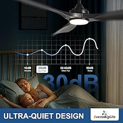 BvenuBigLite Ceiling Fan with Light Modern: 52 Inch