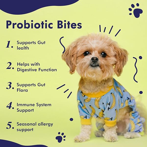 AHALEA 120 CT. PROBIOTICS FOR DOGS- DOG PROBIOTICS FOR DIGESTIVE HEALTH, SUPPORT GUT HEALTH, DIARRHEA, DIGESTIVE HEALTH & SEASONAL ALLERGIES, 264 GRAM 2 BILLION CFUS, WHITE