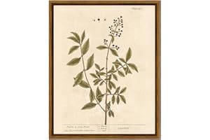 VIYYIEA Framed Wall Art Decor for Living Room,Canvas Vintage Wall Art Painting Pictures Rustic Vintage Plant Prints Farmhouse Decor Cottage Artwork Home Kitchen Aesthetic Living Room Decor 8x10in