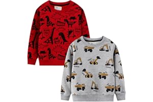 LOKTARC 2 Pack Toddler Boys Sweatshirts Patterned Long Sleeve Pullover Crewneck Tops Shirts