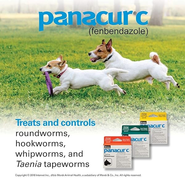 PANACUR C CANINE DEWORMER (FENBENDAZOLE), 1 GRAM, YELLOW, 3 COUNT (PACK OF 1)