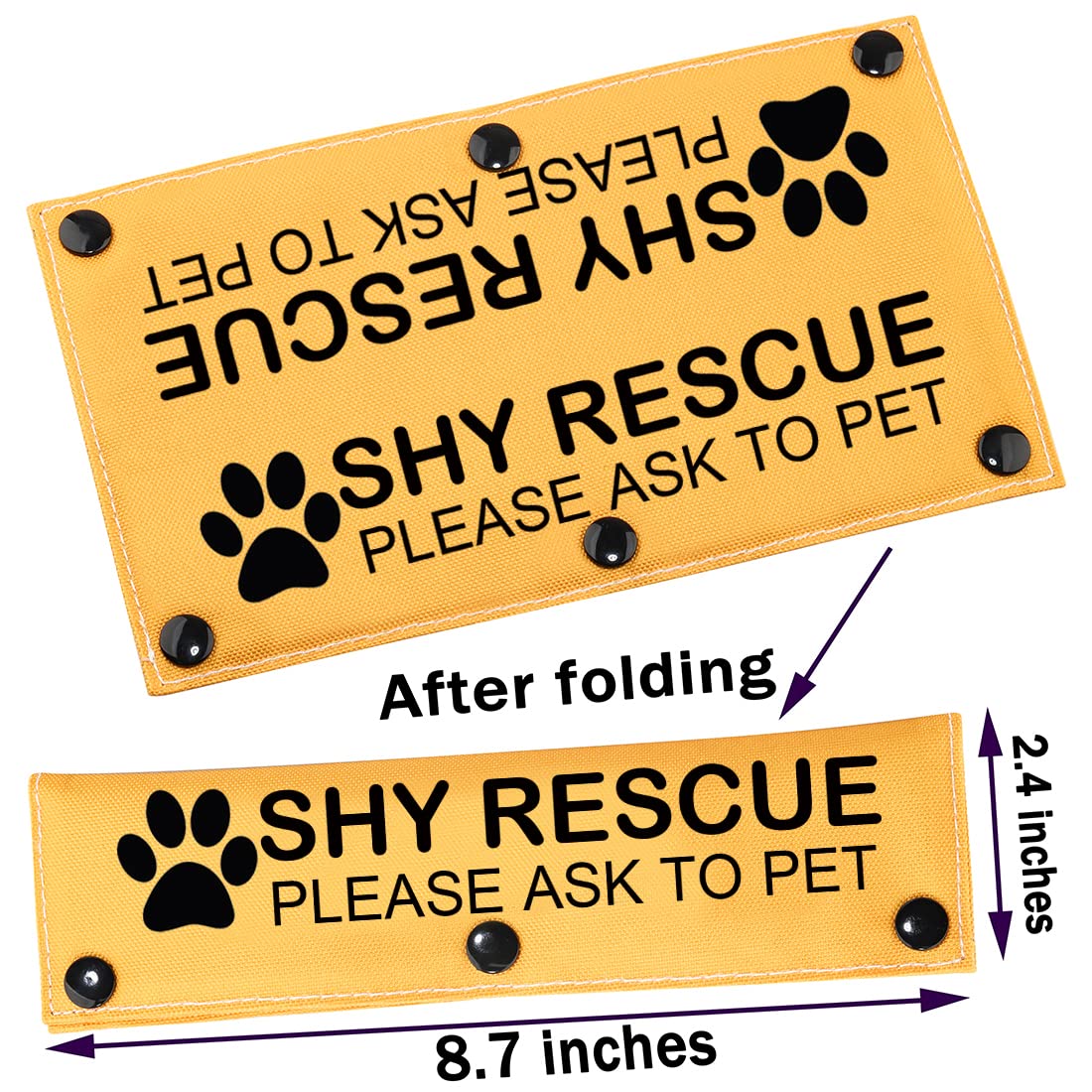 View 2