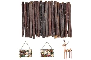 CRAFTYMELODY 2 Bundles 100Pcs Wood Log Sticks for Crafts Coconut Brown Long Birch Wood Craft Sticks Natural Twigs Stick for C