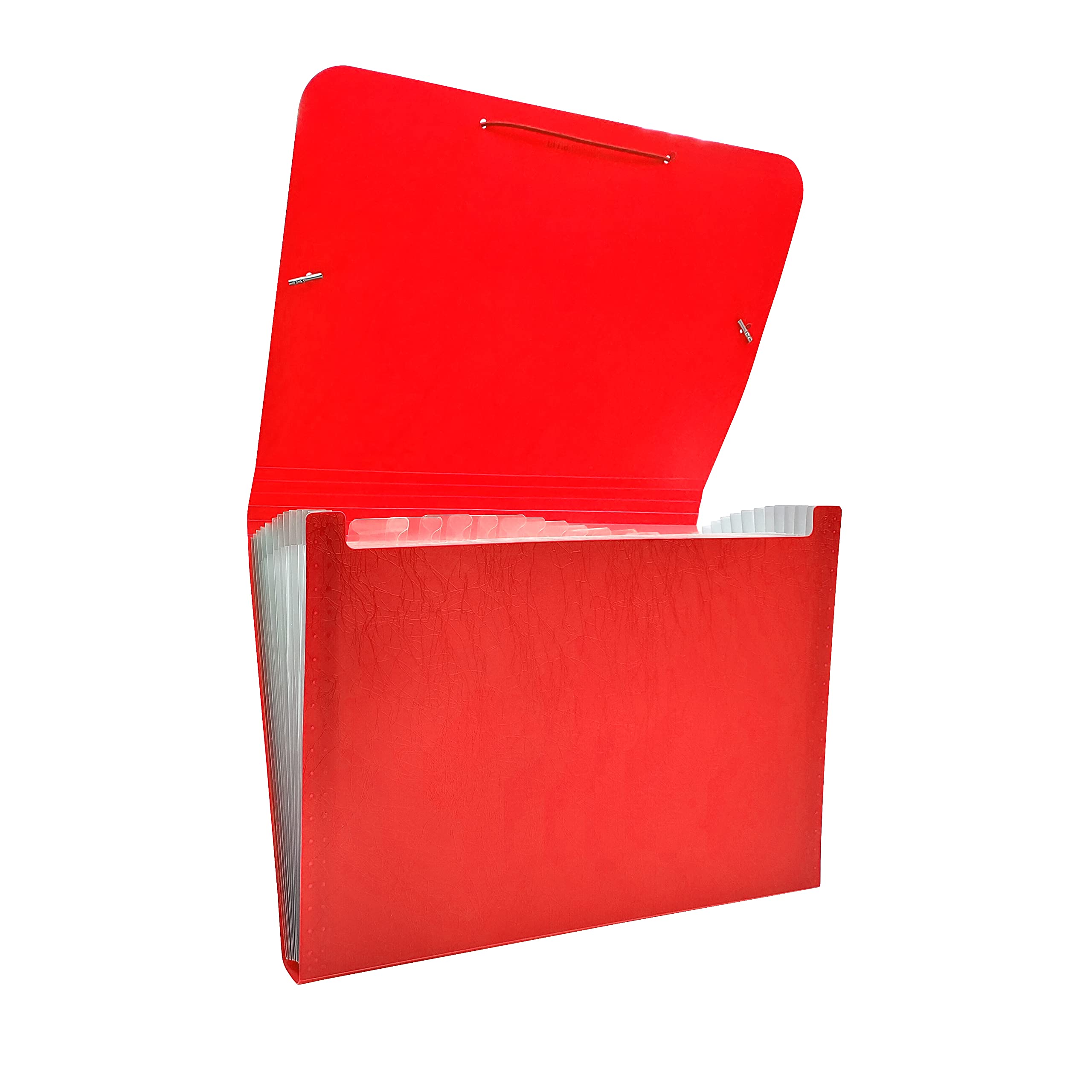 Raylu Paper® - Accordion Sorting Folder 12 Pockets Opaque Plastic Folder with Dividers for Office (Red)
