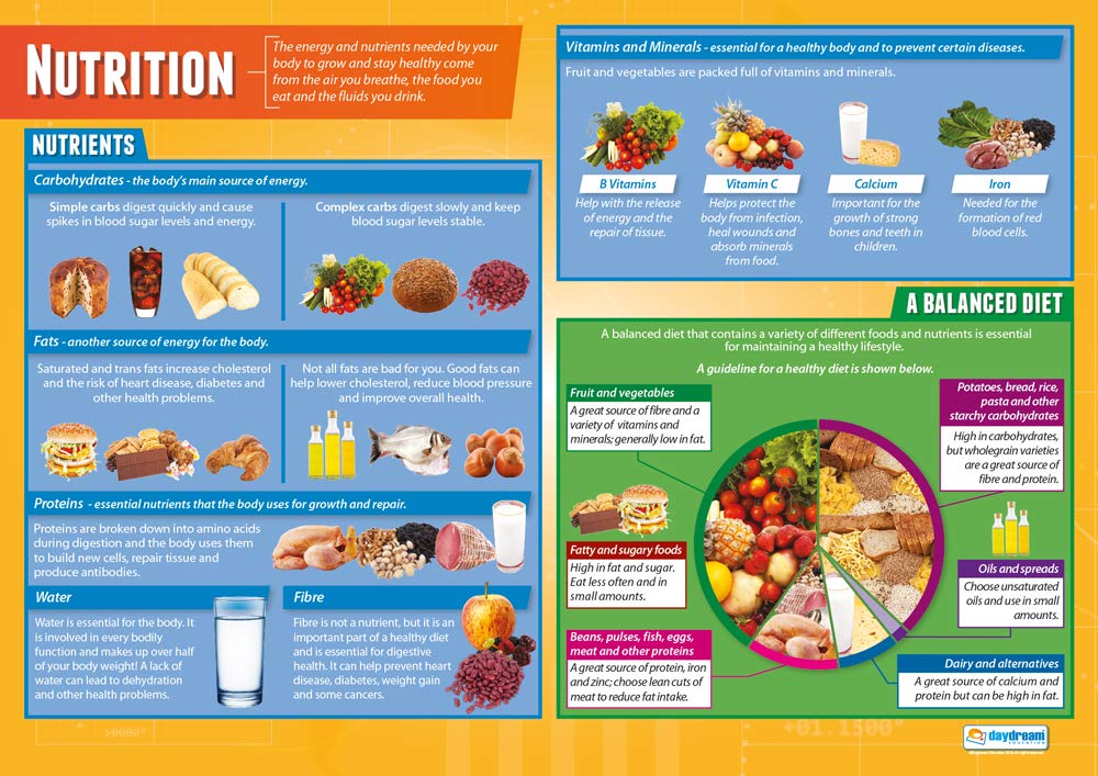 Daydream Education Nutrition | Child Development Posters | Gloss Paper measuring 850mm x 594mm (A1) | Child Care Class Posters | Education Charts