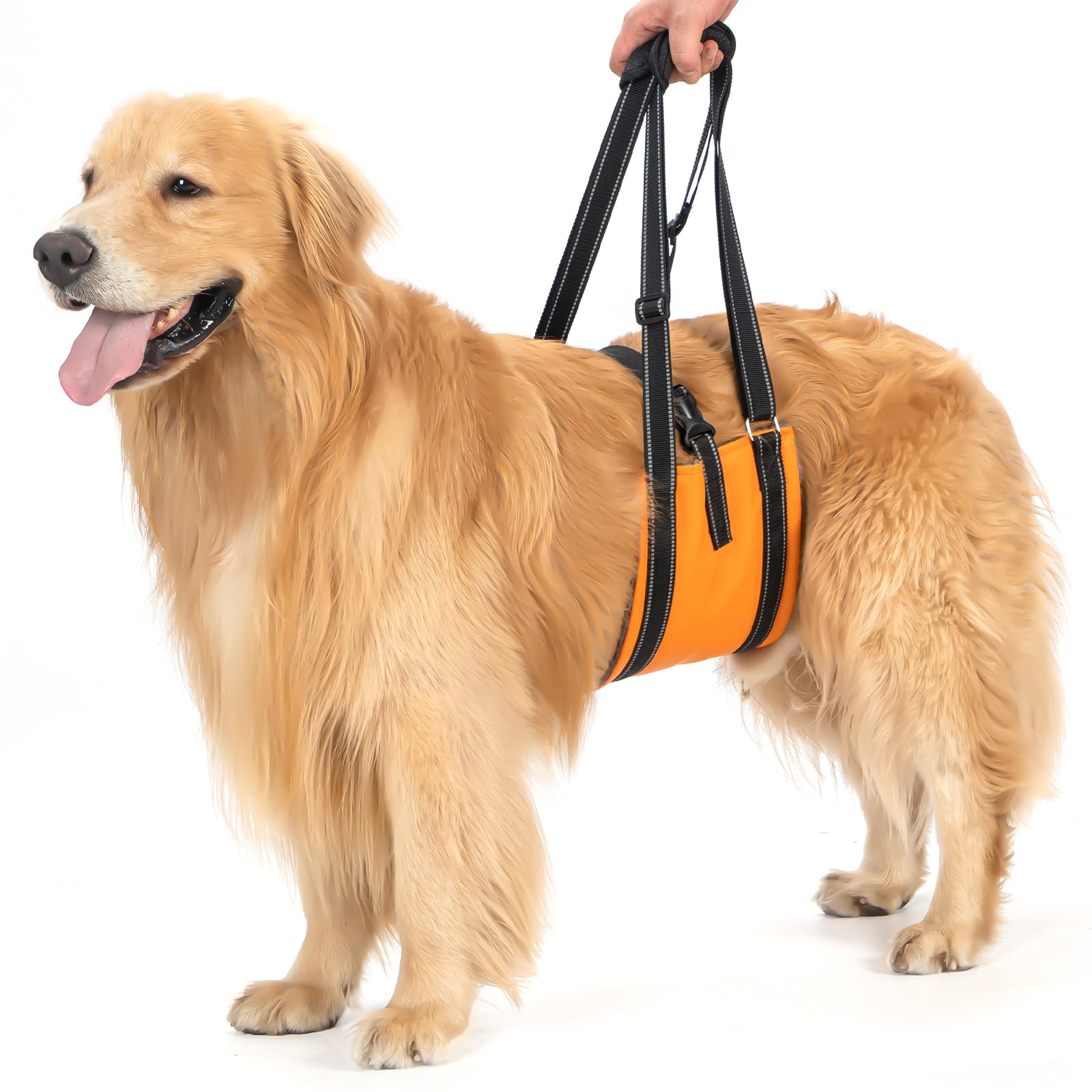Avont 犬用介助歩行補助ハーネス オレンジの商品画像