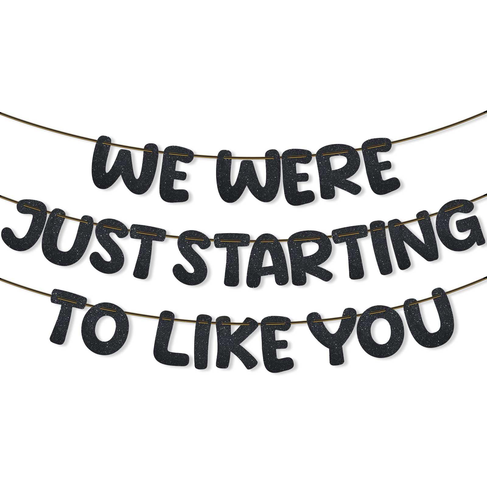 We Were Just Starting To Like You Banner, Pre Strung Going Away Party Decorations Glitter Banner Bunting for Farewell Leaving New Job Will Miss You Funny Retirement Goodbye Party Supplies (Black)