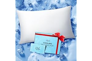 RIFENS Ice Cooling Pillowcase for Hot Sleepers, Instantly Cool, Stays Cold All Night, Softer Than Silk Pillow Cases, Pillow Covers with Invisible Zipper, Gift for Men & Women - Standard Size, White (1 Pack)
