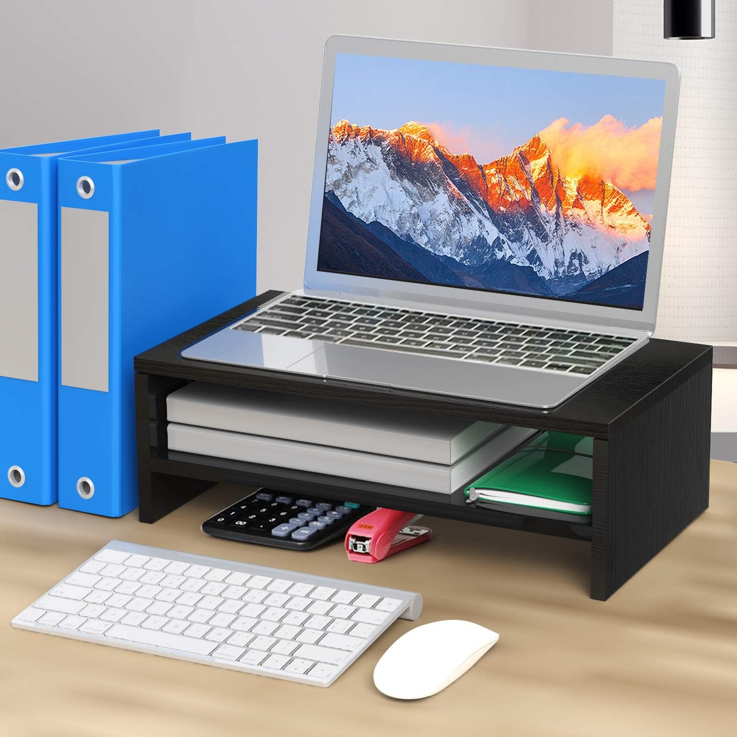 AMERIERGO Monitor Stand Riser - 16.5 Inch 2 Tier Desk Organizer Stand for Laptop Computer, Desktop Printer Stand with Phone Holder and Cable Management, Versatile as Storage Shelf & Screen Holder : Office Products