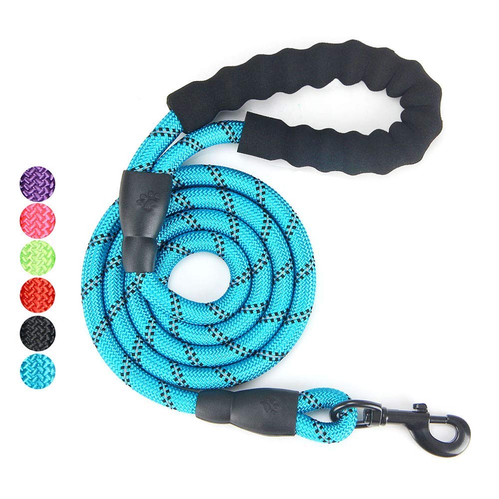 AINAAN 5 FT Strong Dog Leash with Comfortable Padded Handle and Highly Reflective Threads, Nylon, Blue