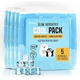 Healthy Packers® Slim Reusable Ice Packs for Lunch Boxes Kids and Adults | Long‑Lasting Thin Freezer Packs for Coolers, Bento Boxes, Lunch Bags, Travel, School Meals, and Meal Prep (5-Pack | Clear)