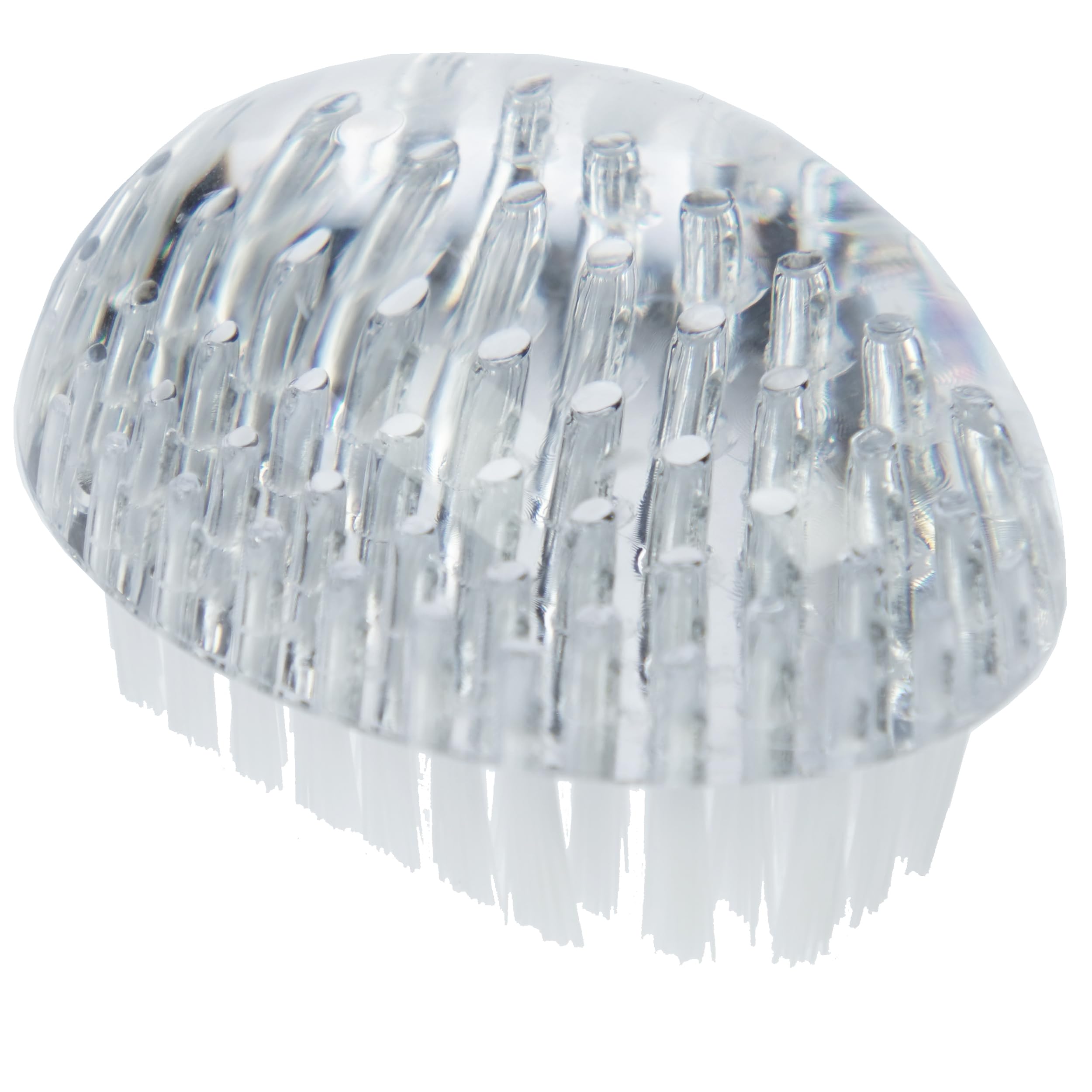 Fantasia Cleaning Brush and Cleaning Brush Plastic Mini Nail Brush and Hand Wash Brush - Brush Hand and Nail Acrylic, 1 Piece