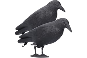 CYTGOUPER Realistic Crow Decoy, Life Sized Simulation Crow Statue Hunting Bait Decoys Black Crow Figuring, Plastic Crow Decoy for Halloween Party Outdoor Garden Decoration (2PCS)