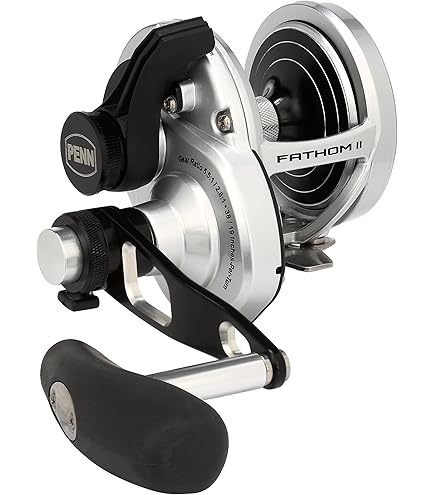 PENN ペンファゾム2 40LD ペン(PENN) ファゾムII(Fathom II) 2スピード 40NLD2 ナロー