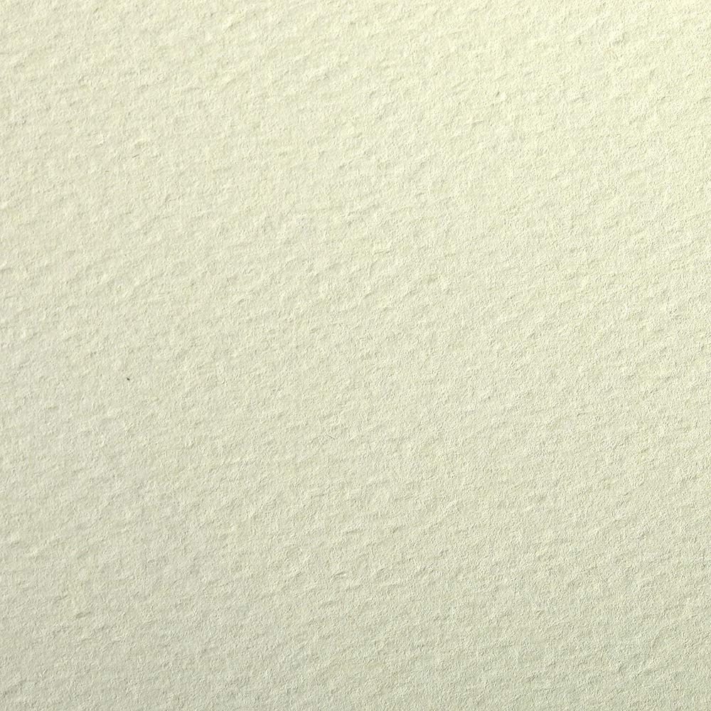 Clairefontaine - Ref 93892C - Etival Coloured Grained Drawing Paper (Pack of 25 Sheets) - A4 (29.7 x 21cm) - 160gsm Cellulose Art Paper - Pale Green - Acid Free, pH Neutral