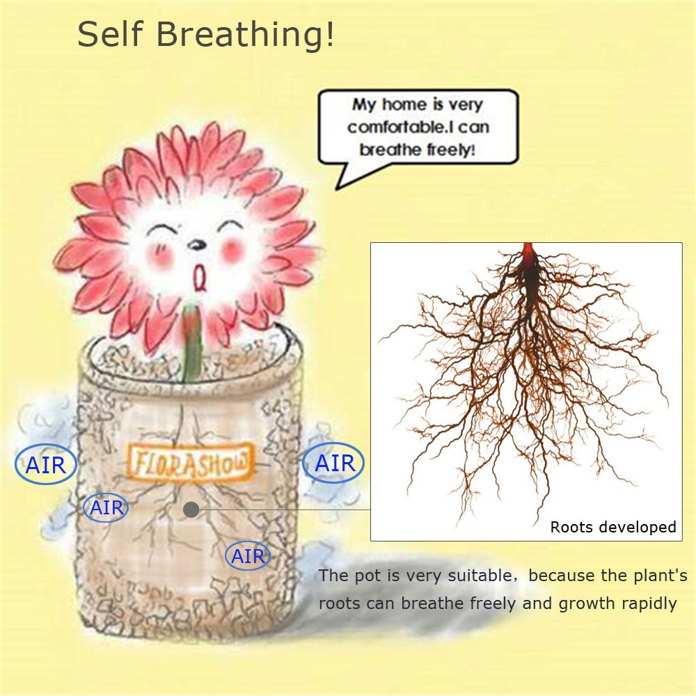 FLORASHOW Succulent Pots, Ruby&Epidote Materials Mini 3.26 inch Succulent Plant Pots, Ultra-Breathable, water-permeable suitable for succulents, Cactus, Smaller plants and More