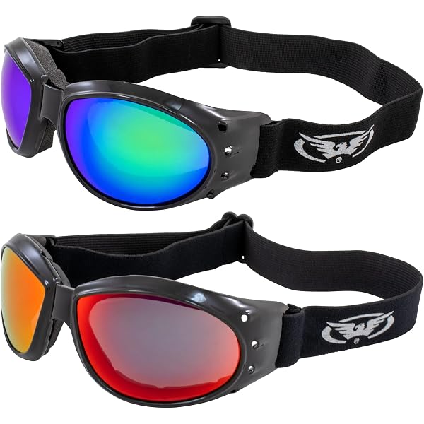 Birdz Eyewear Eagle Motorcycle Goggles Black Frame With Smoke Lens