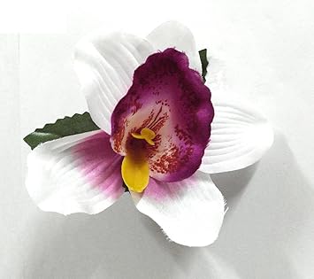 Amazon Com 1 Pc Of 4 Purple And White Orchid Hair Clip Orchid