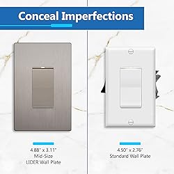 LIDER Brushed Finish Decorator Switch