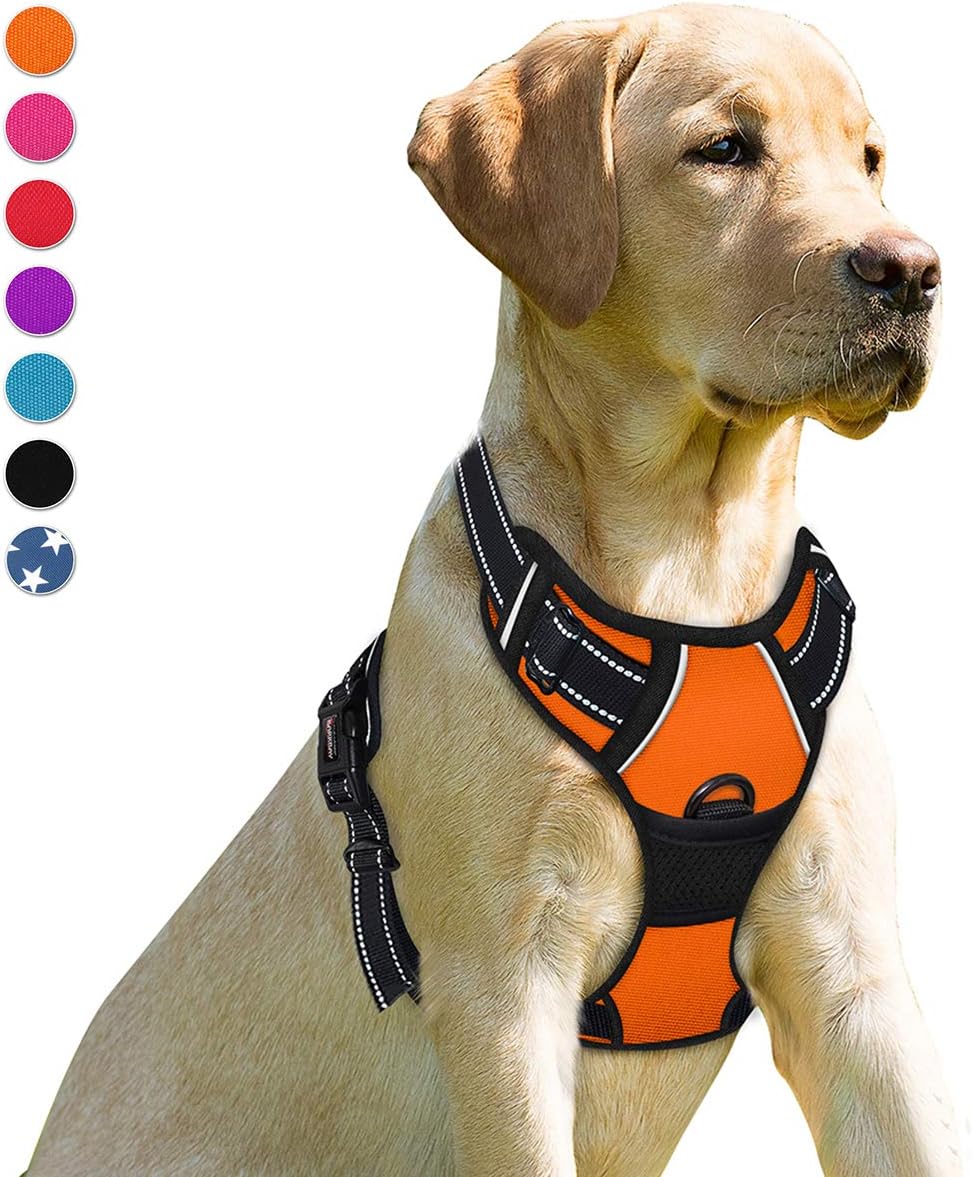 BARKBAY Dog Harness No-Pull Pet Harness Adjustable Outdoor Pet Vest Front Clip Heavy Duty 3M Reflective Oxford Material Vest for Dogs Easy Control for Small Medium Large(Orange,S) Dogs(Orange,S)