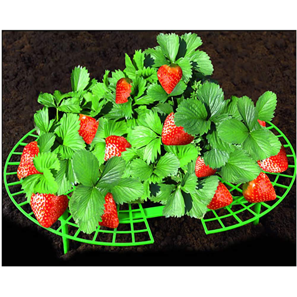Soporte para plantas de fresa para proteger fresas y mantener la ...