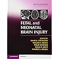 Fetal and Neonatal Brain Injury